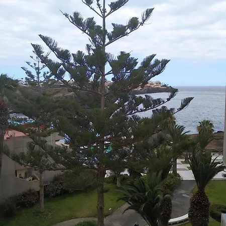 Apartment Garden View In Galletas Arona (Tenerife)