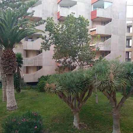 Garden View In Galletas * Arona (Tenerife)